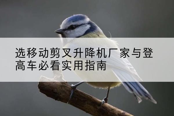 晋州电动升降机厂家-选移动剪叉升降机厂家与登高车必看实用指南