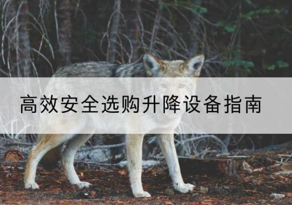 晋州升降货梯厂家推荐-*安全选购升降设备指南