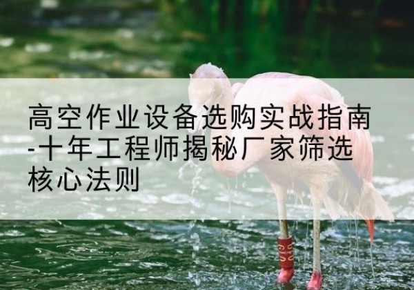 晋州剪叉式升降机厂家-高空作业设备选购实战指南-十年工程师揭秘厂家筛选核心法则